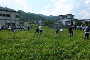 nanohana3-1