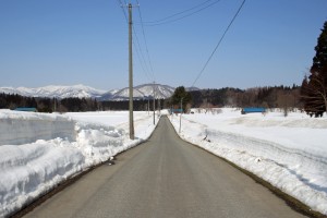 長瀬野（2015.3.17撮影）