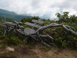 高下岳頂上