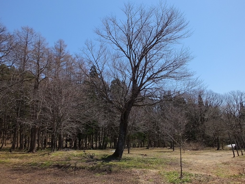 安ヶ沢